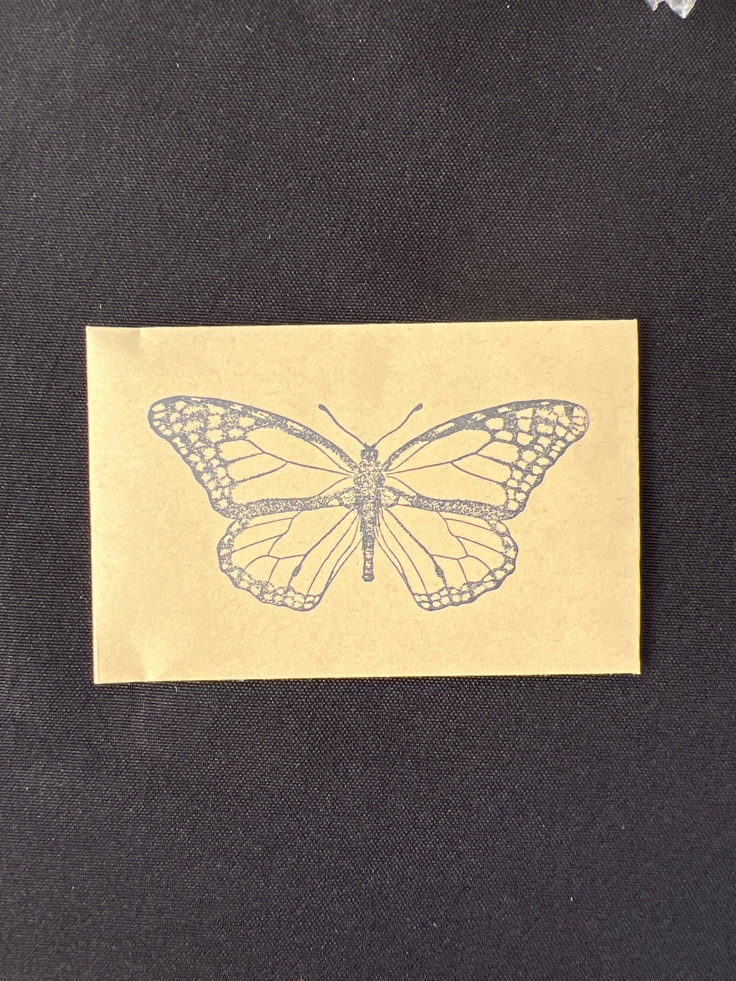 Narrowleaf Milkweed Seed Packet