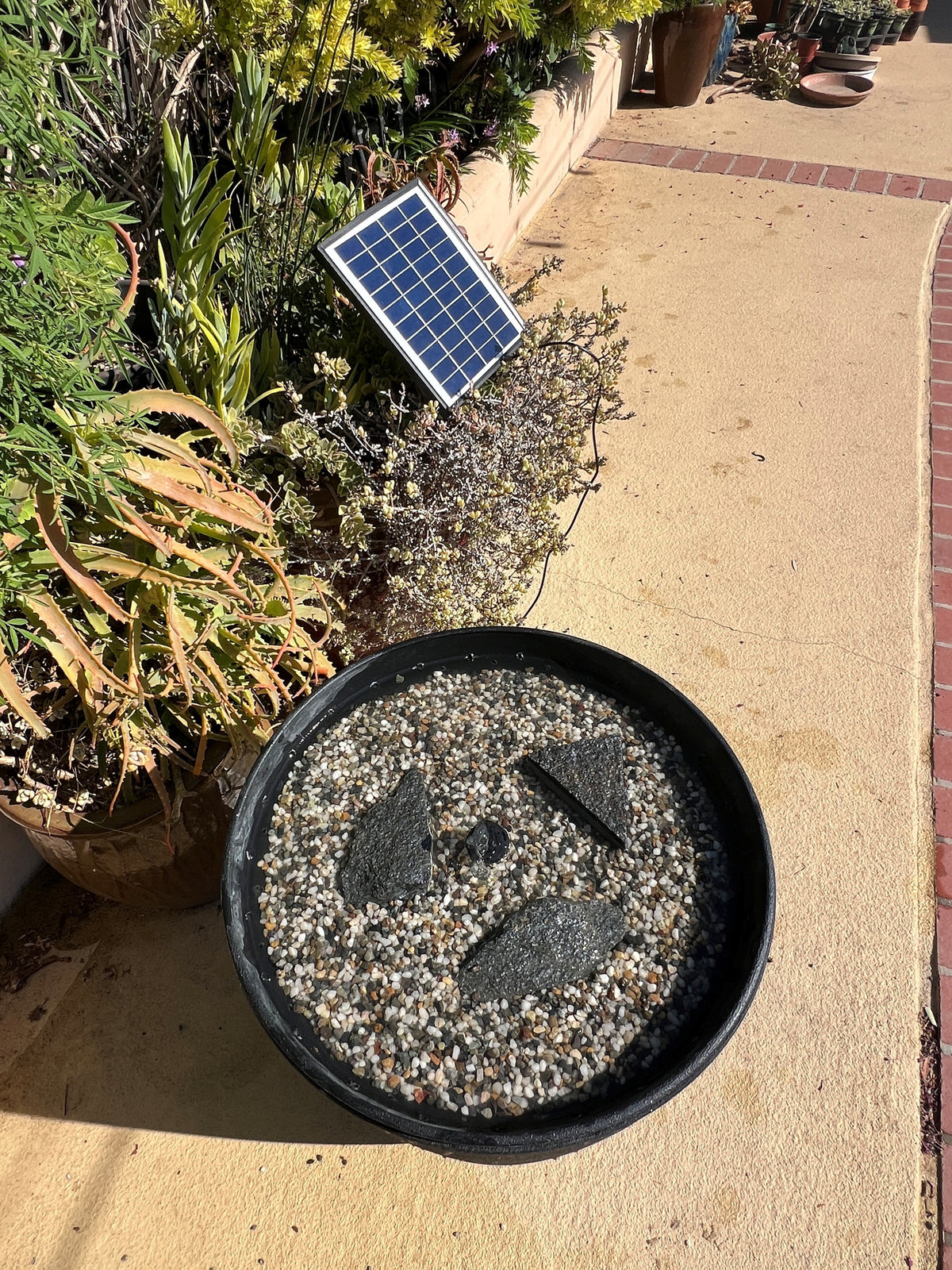POLLINATOR PUDDLING STATION, SOLAR-POWERED & LIGHTWEIGHT – Monarch Botanika